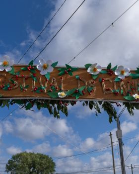 DSC9113
